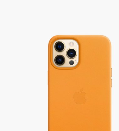 cases